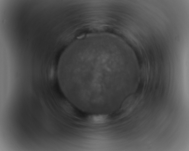 X0000094350134200711162037