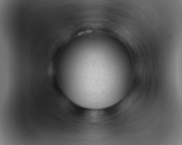 X0000094350135200711162037