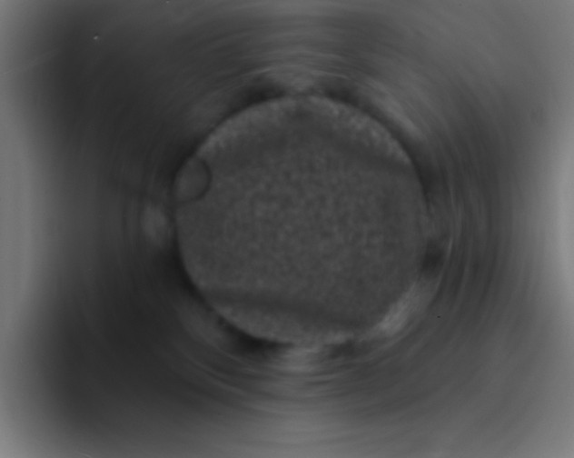 X0000094350136200711162037