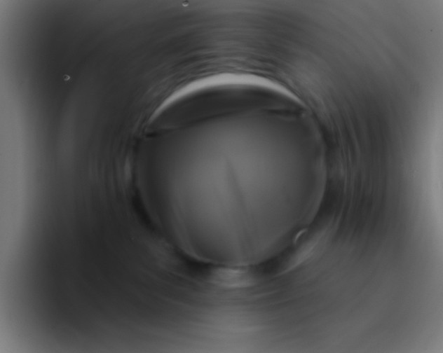 X0000094350139200711162037