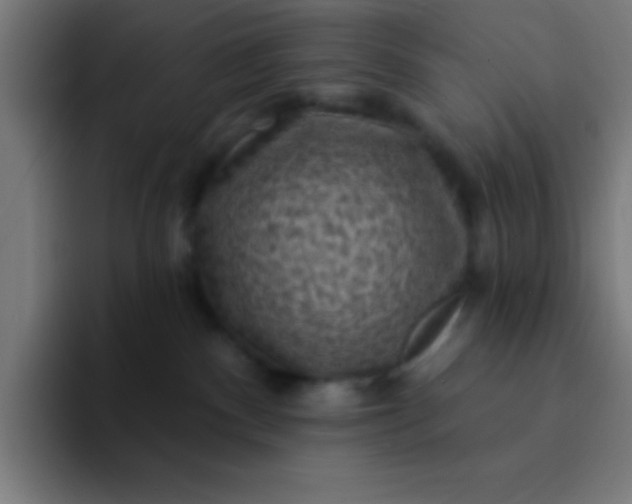 X0000094350140200711162037