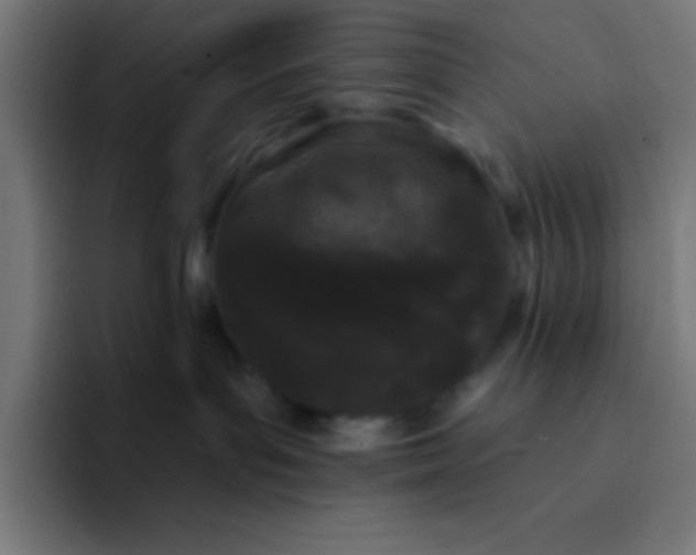 X0000094350143200711162037