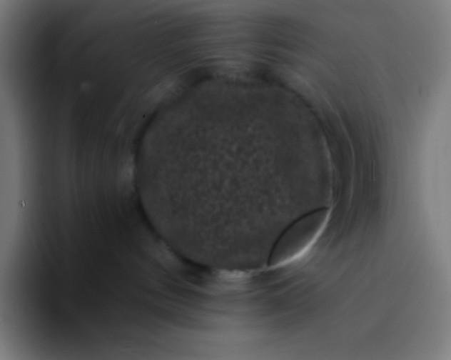 X0000094350144200711162037