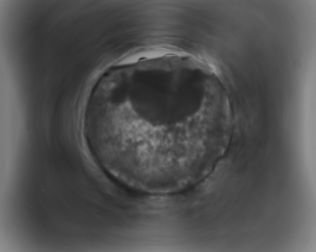 X0000094350145200711162037