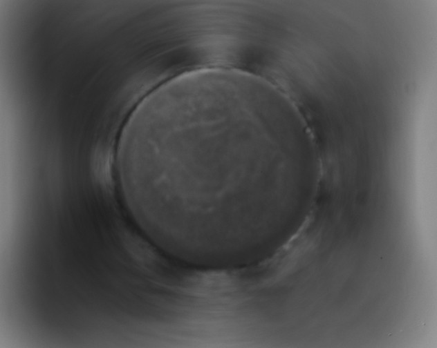 X0000094350146200711162037