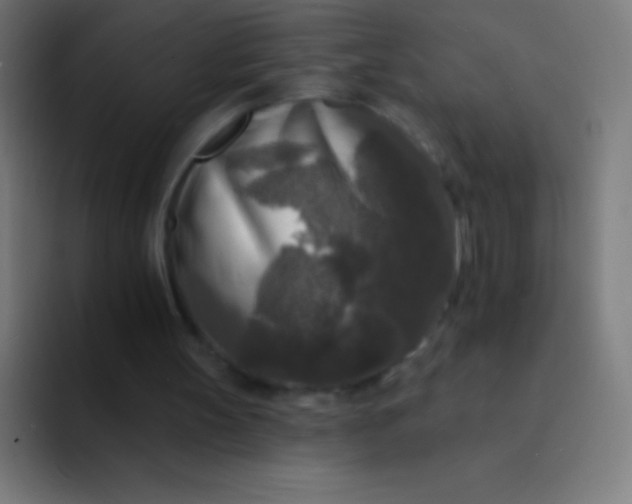 X0000094350147200711162037