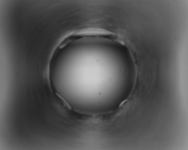 X0000094350148200711162037