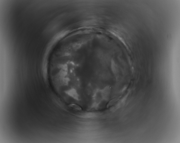 X0000094350149200711162037