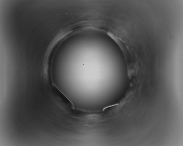 X0000094350150200711162037