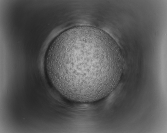 X0000094350151200711162037