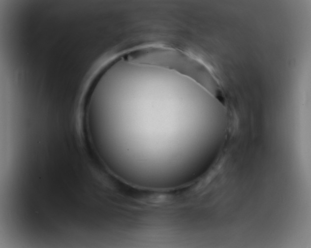 X0000094350152200711162037