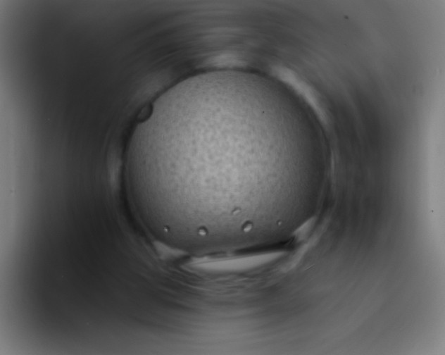 X0000094350153200711162037