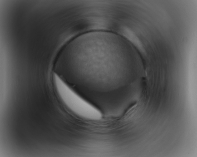 X0000094350156200711162037