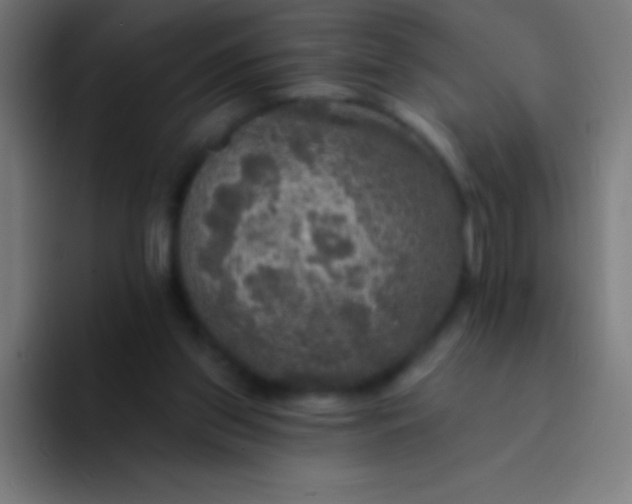 X0000094350157200711162037