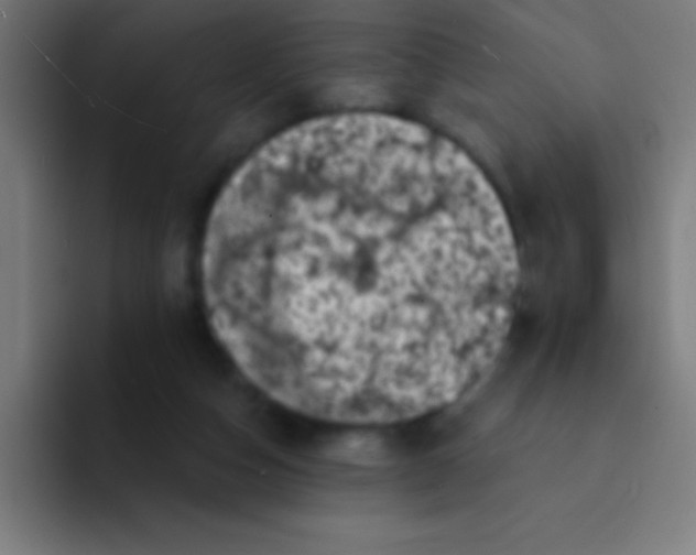 X0000094350162200711162037