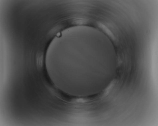 X0000094350163200711162037