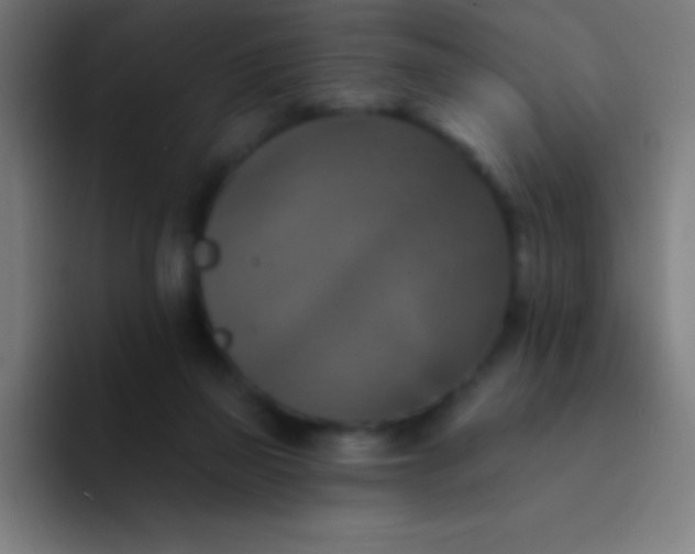 X0000094350165200711162037