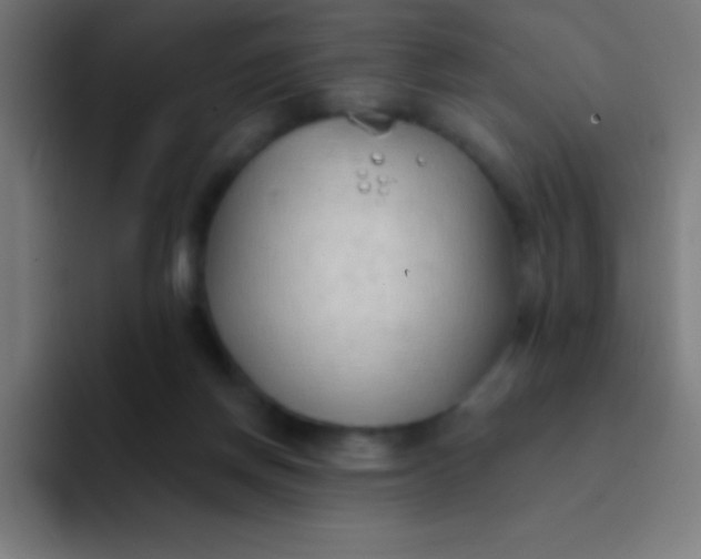 X0000094350166200711162037