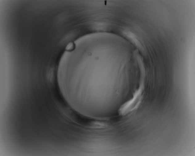 X0000094350167200711162037