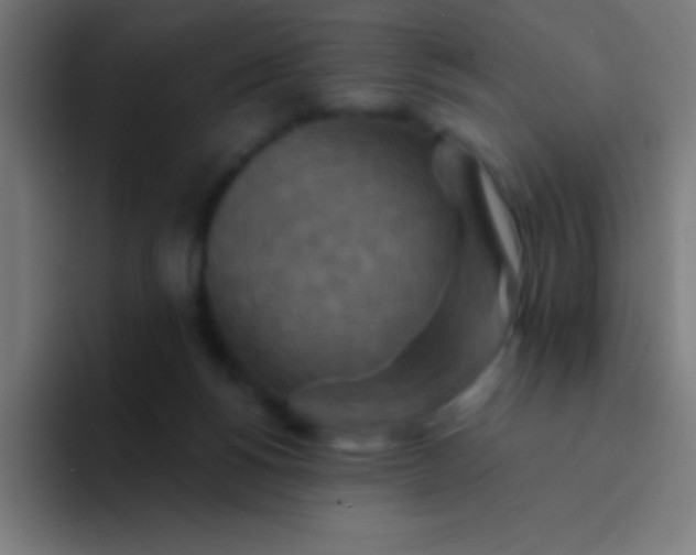 X0000094350168200711162037