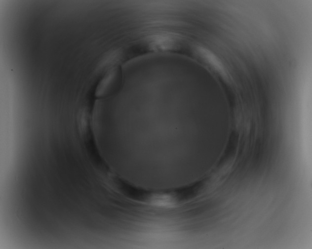 X0000094350169200711162037