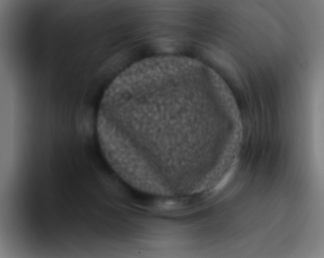 X0000094350174200711162037