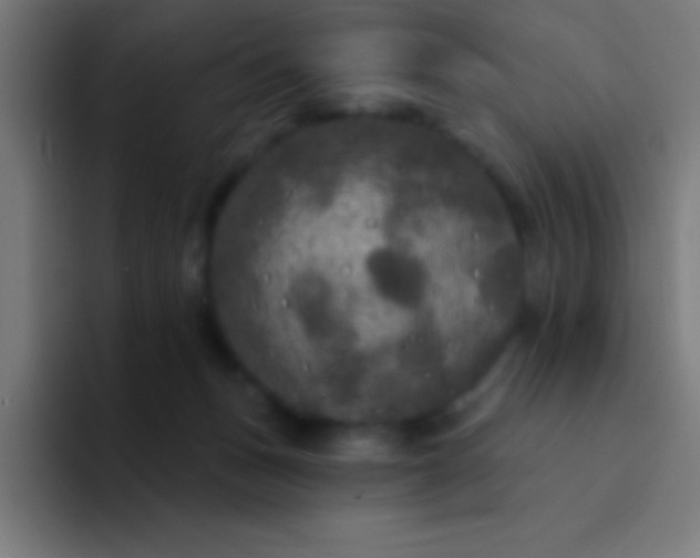 X0000094350175200711162037