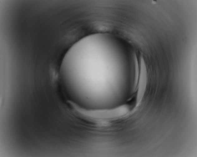 X0000094350176200711162037