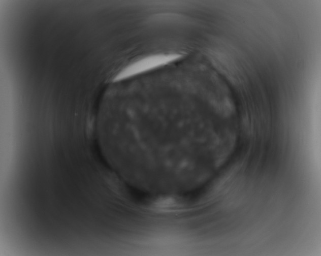 X0000094350177200711162037