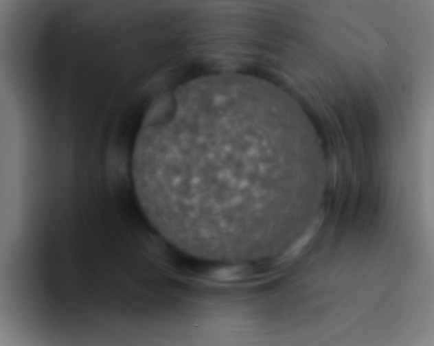 X0000094350178200711162037