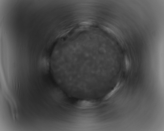 X0000094350180200711162037