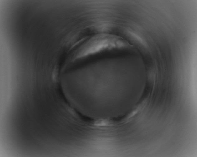 X0000094350181200711162037