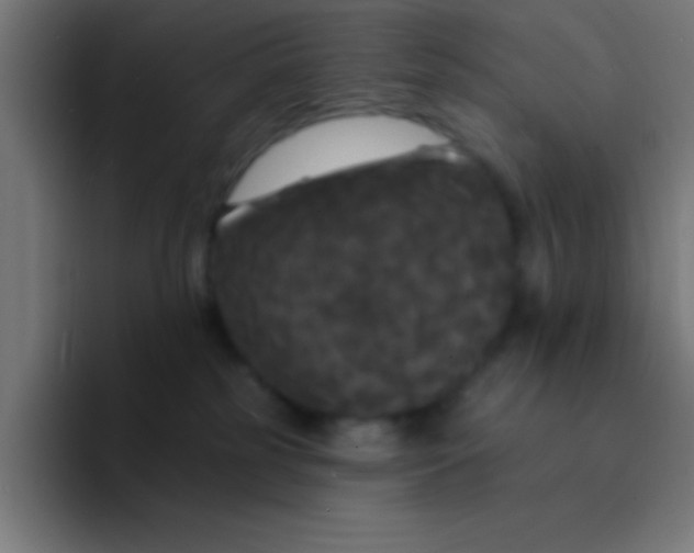 X0000094350185200711162037