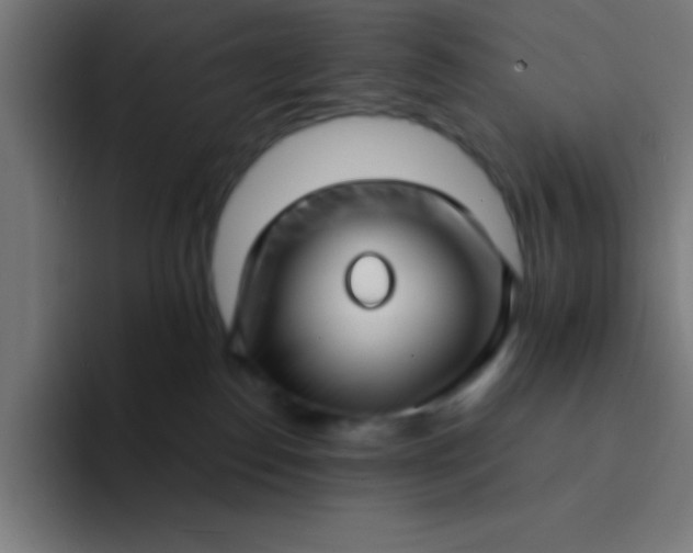 X0000094350186200711162037