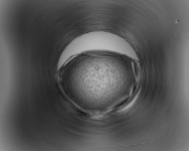 X0000094350190200711162037