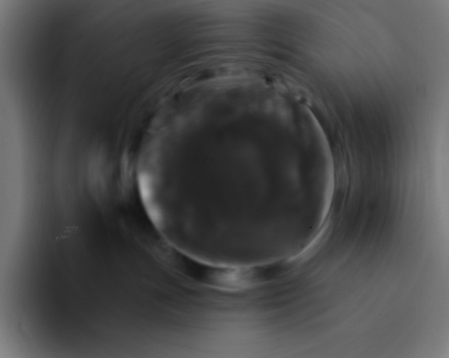 X0000094350191200711162037