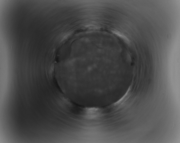 X0000094350192200711162037