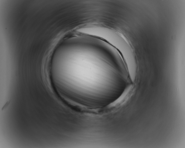 X0000094350193200711162037