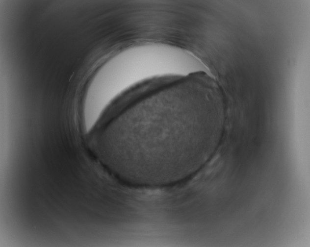 X0000094350194200711162037