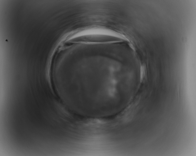 X0000094350195200711162037