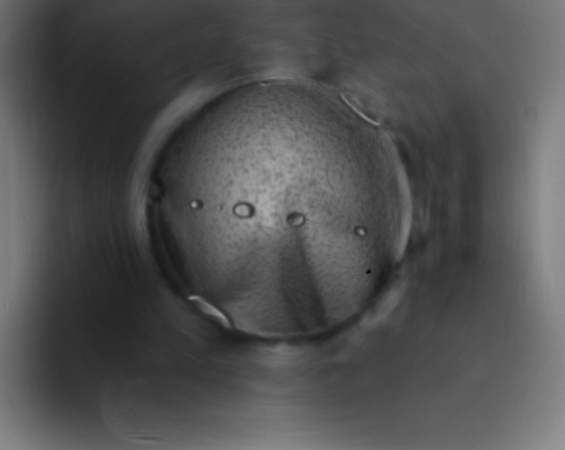 X0000094350197200711162037