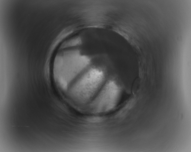 X0000094350198200711162036