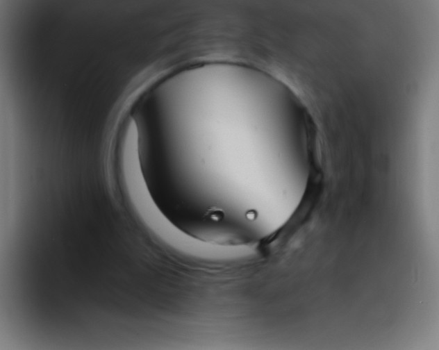 X0000094350199200711162036