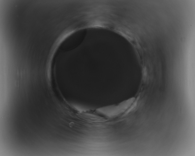 X0000094350200200711162036