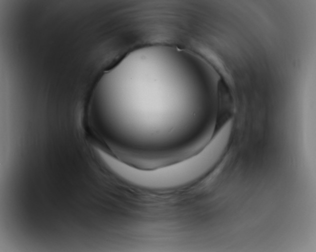 X0000094350201200711162036