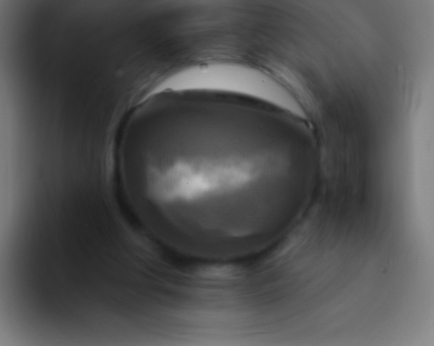 X0000094350202200711162036