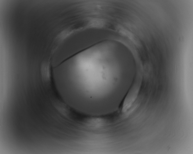 X0000094350203200711162036