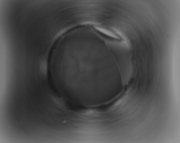 X0000094350204200711162036