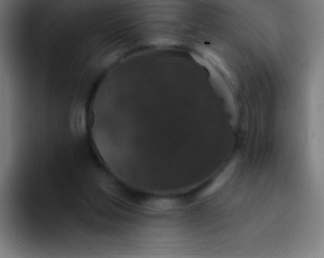 X0000094350205200711162036