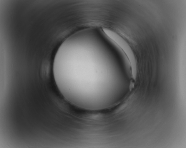 X0000094350206200711162036